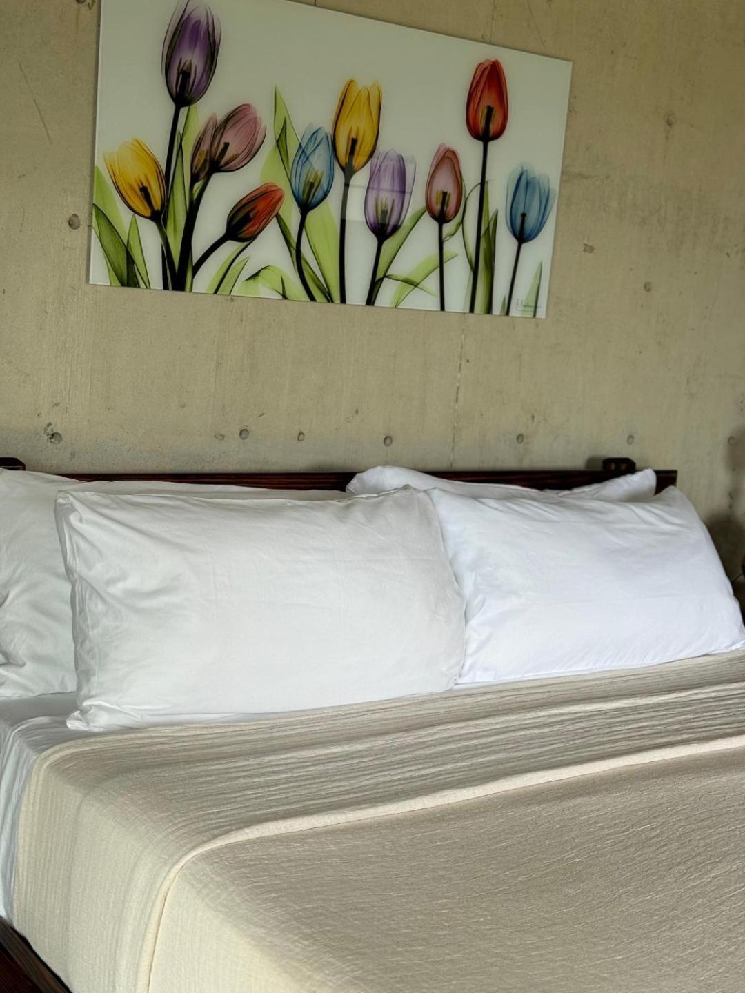 The Serene House Bed & Breakfast Luquillo Eksteriør billede