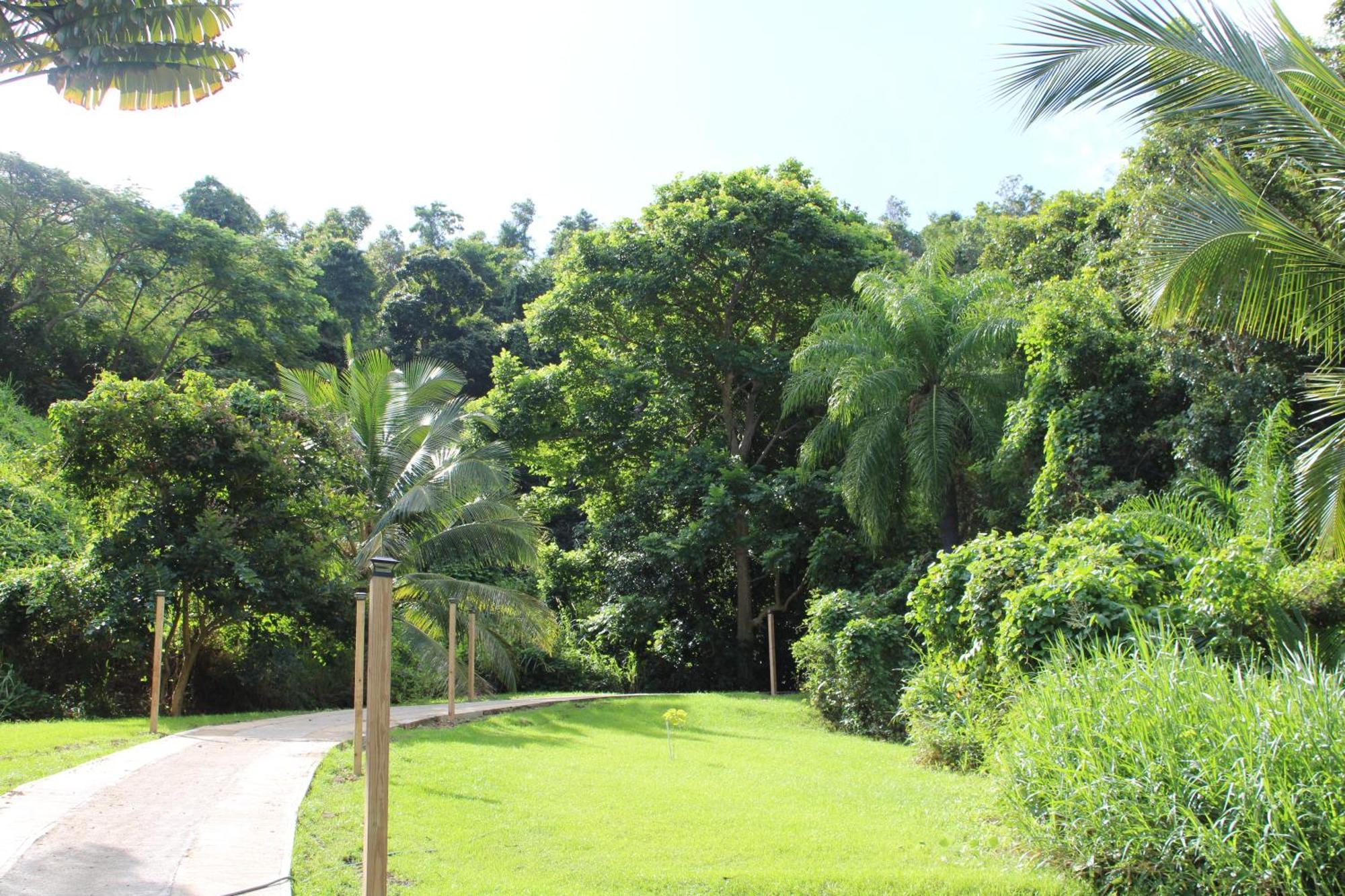 The Serene House Bed & Breakfast Luquillo Eksteriør billede