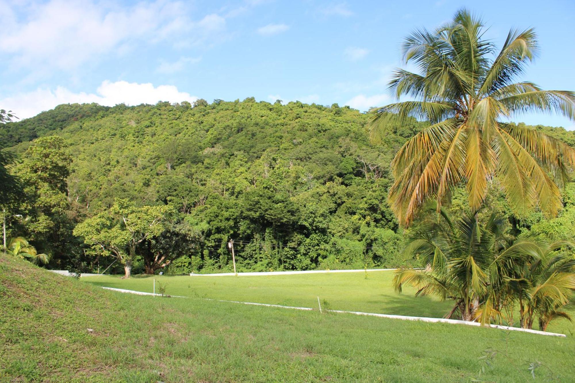 The Serene House Bed & Breakfast Luquillo Eksteriør billede