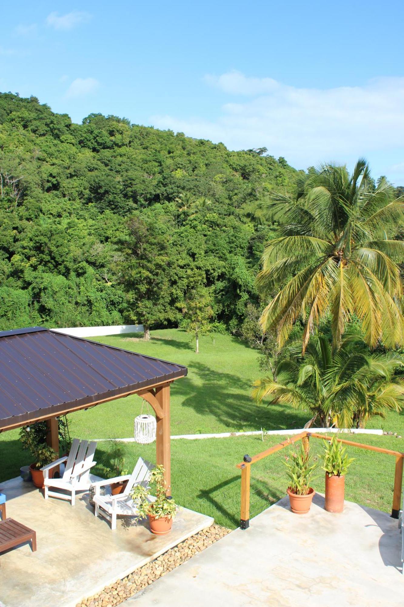 The Serene House Bed & Breakfast Luquillo Eksteriør billede