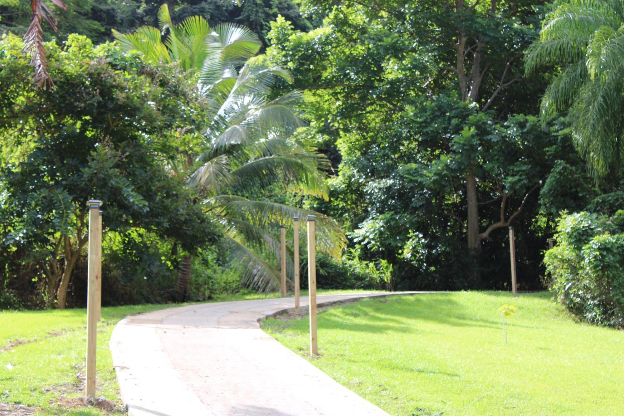 The Serene House Bed & Breakfast Luquillo Eksteriør billede
