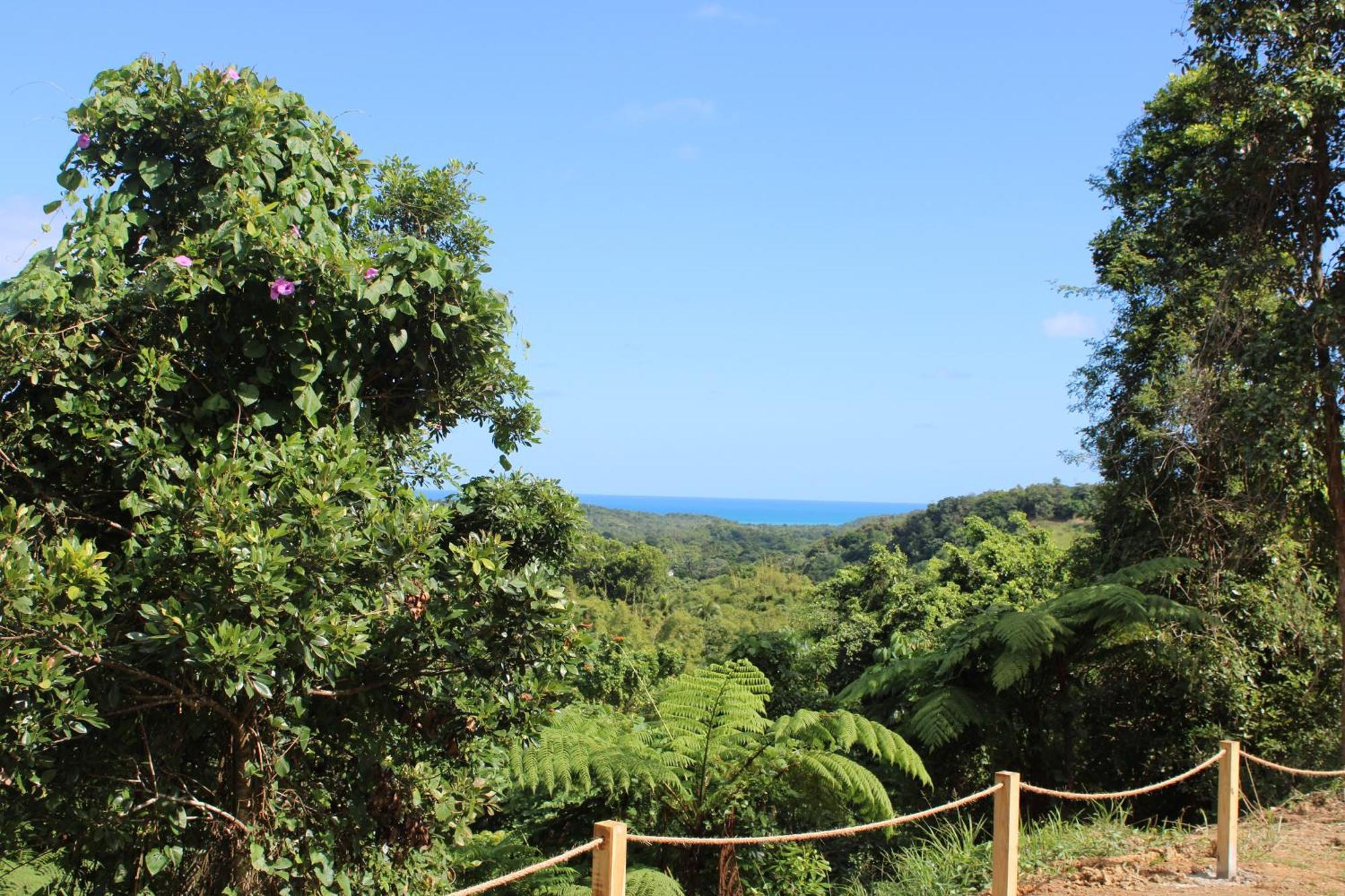 The Serene House Bed & Breakfast Luquillo Eksteriør billede
