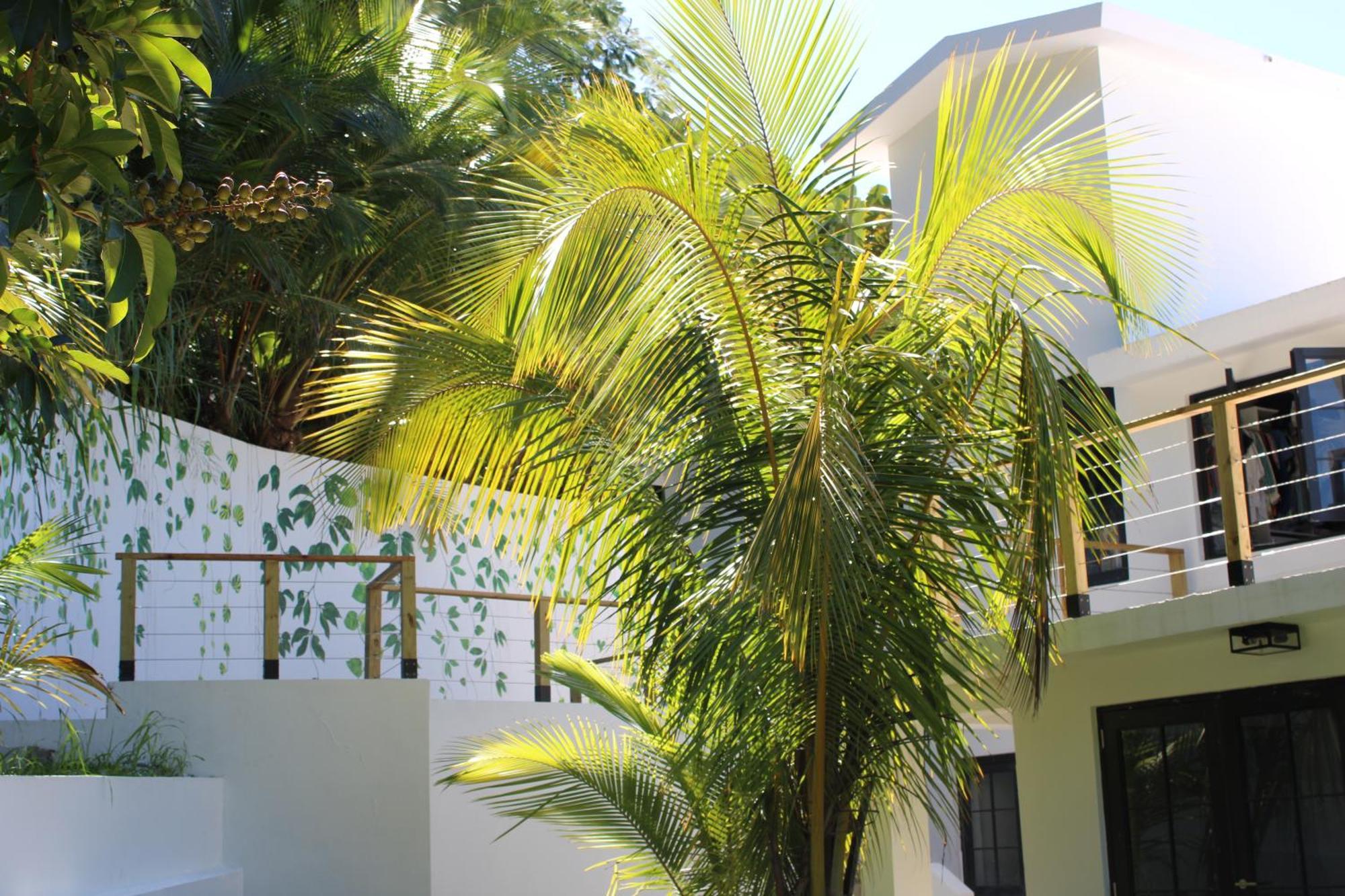 The Serene House Bed & Breakfast Luquillo Eksteriør billede